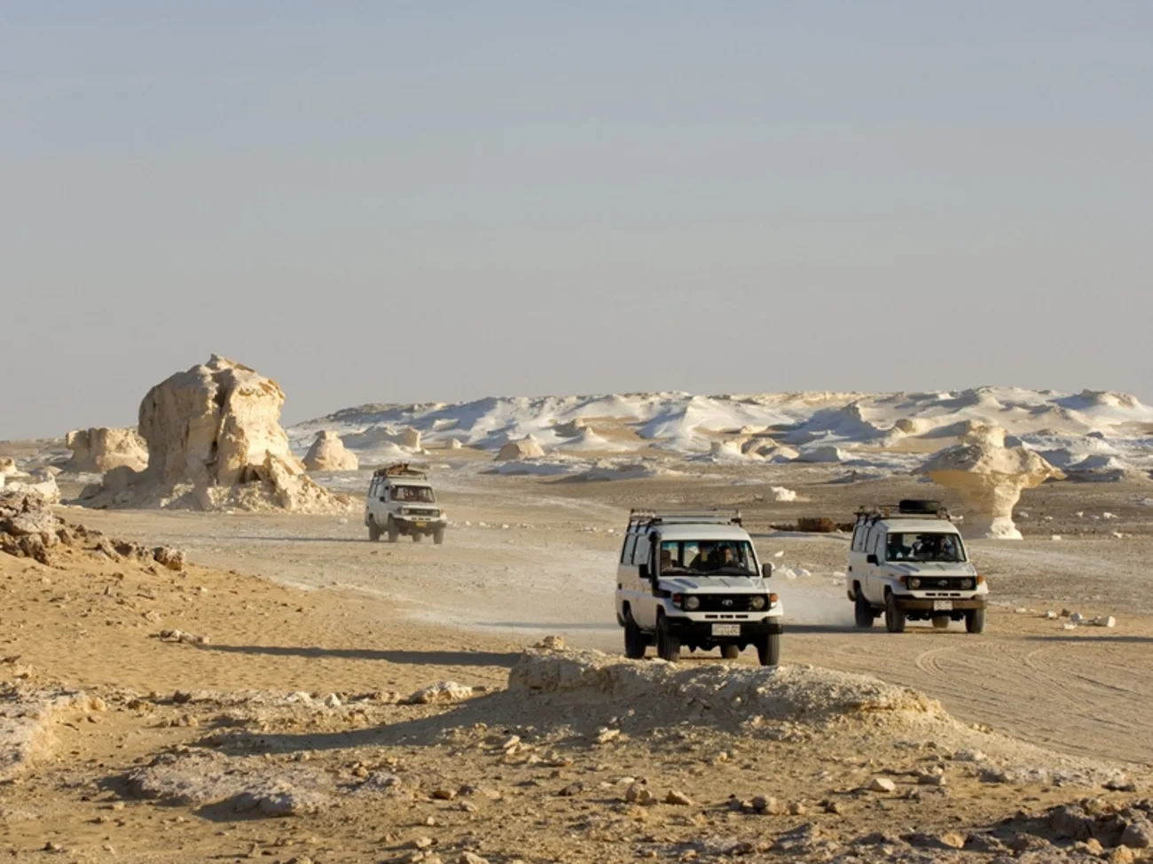 Farafra Oasis